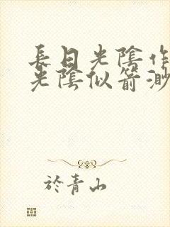 长日光阴作一团光阴似箭渺渺封面