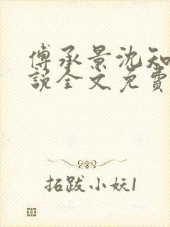 傅承景沈知心小说全文免费阅读封面