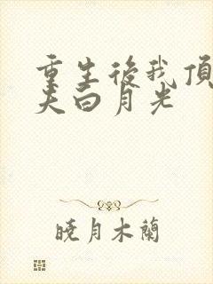 重生后我顶替前夫白月光