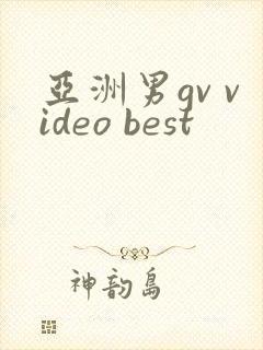 亚洲男gv video best