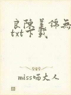 良陈美锦无删减txt下载