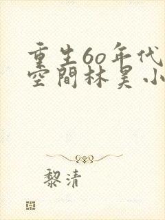 重生6o年代带空间林昊小说