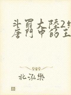 斗罗大陆2绝世唐门中的王冬