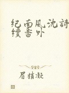 纪南风沈诗澜后续番外