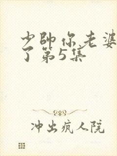 少帅你老婆又跑了第5集