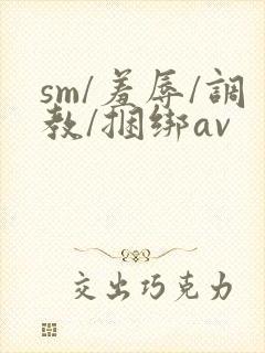 sm/羞辱/调教/捆绑av