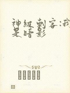 神级刺客:我即是暗影