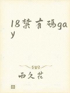 18禁有码gay