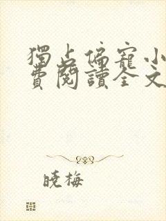 独占偏宠小说免费阅读全文