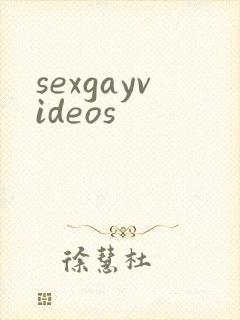 sexgayvideos封面