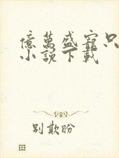 亿万盛宠只为你小说下载