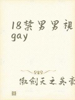 18禁男男视频gay