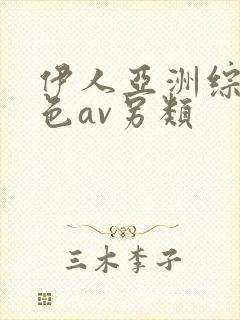 伊人亚洲综合网色av另类