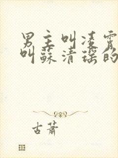 男主叫凌霄女主叫苏清瑶的小说名字