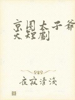 京圈太子爷宠上天短剧