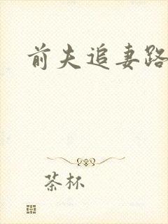 前夫追妻路漫漫