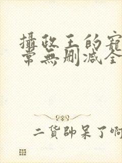 摄政王的宠妻日常无删减全本阅读