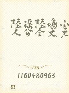 陆瑶陆鸣小说主人公全文免费阅读笔趣阁