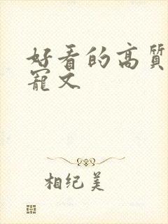 好看的高质量甜宠文