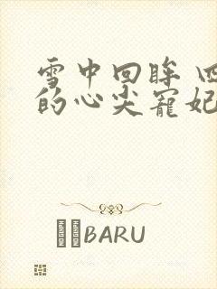 雪中回眸 四爷的心尖宠妃