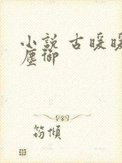 小说 古暖暖江尘御封面