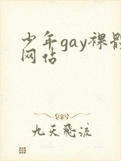少年gay裸体网站