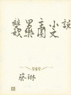 双男主小说推荐娱乐圈文