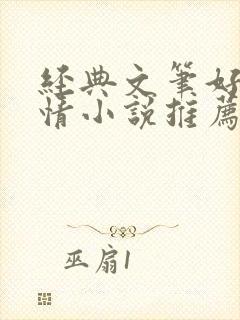 经典文笔好的言情小说推荐封面