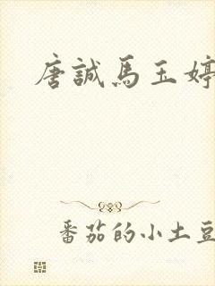 唐诚马玉婷小说