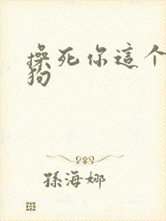 操死你这个小母狗封面