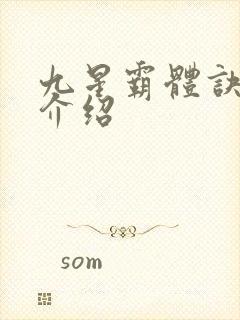 九星霸体诀龙尘介绍