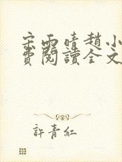 宋雨晴赵小刚免费阅读全文封面