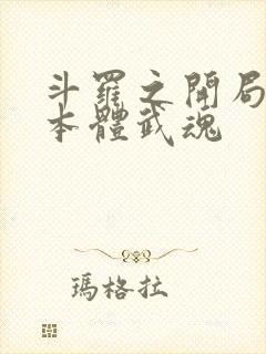 斗罗之开局觉醒本体武魂封面