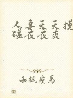 人妻天天摸日日碰夜夜爽封面