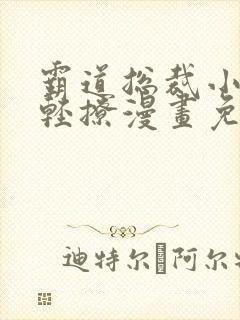 霸道总裁小叔请轻撩漫画免费下拉式