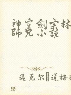 神霄剑宗林枫大师兄小说