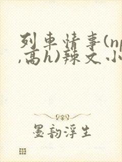 列车情事(np,高h)辣文小