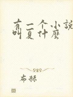 有一个小说女主叫夏什么