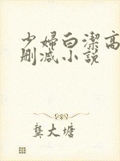 少妇白洁高义无删减小说