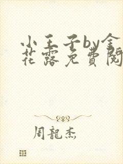 小王子by金银花露免费阅读笔趣阁