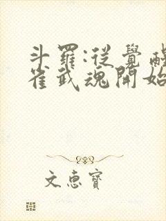 斗罗:从觉醒朱雀武魂开始