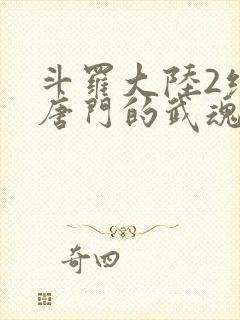 斗罗大陆2绝世唐门的武魂