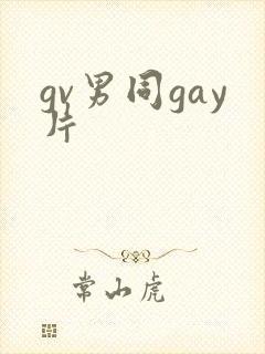 gv男同gay片
