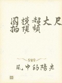 国模超大尺度私拍视频