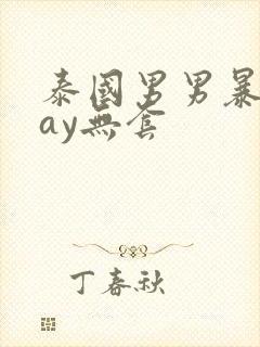 泰国男男暴菊gay无套