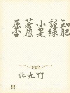 原著小说知否知否应是绿肥红瘦