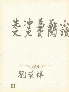 先冲为敬小说全文免费阅读无弹窗封面