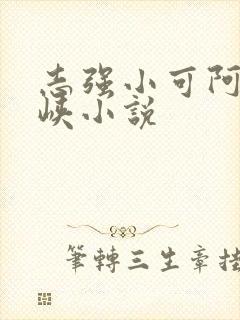 志强小可阿梅三峡小说封面