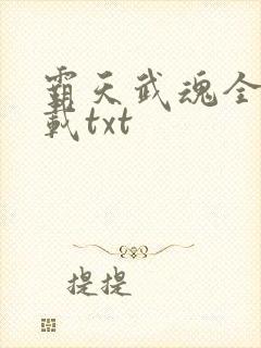 霸天武魂全本下载txt