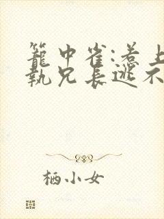 笼中雀:惹上偏执兄长逃不掉正版封面